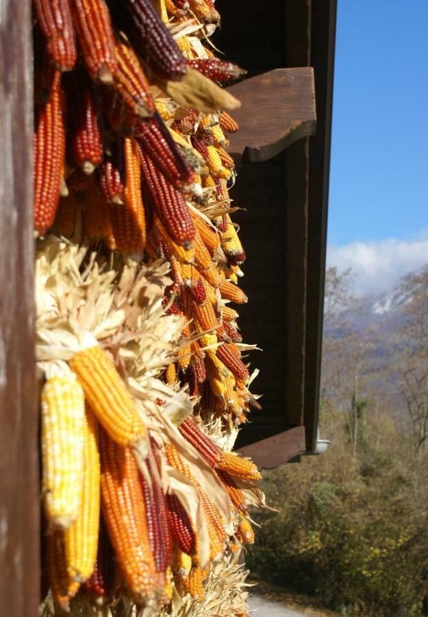 Coste Del Gaggio - Country House B&B - Garda Trentino Drena Exterior photo